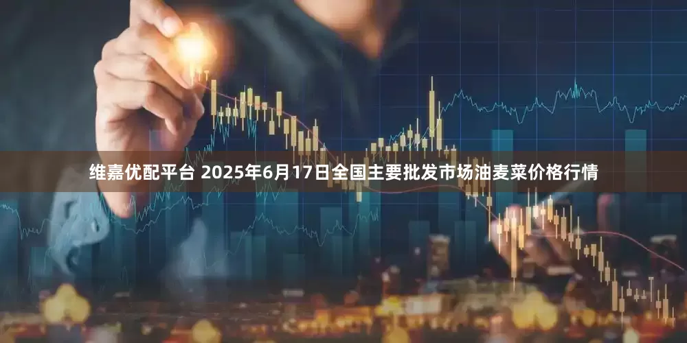 维嘉优配平台 2025年6月17日全国主要批发市场油麦菜价格行情