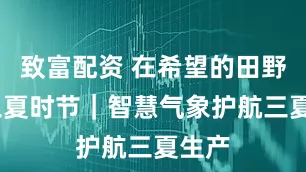 致富配资 在希望的田野上·三夏时节｜智慧气象护航三夏生产