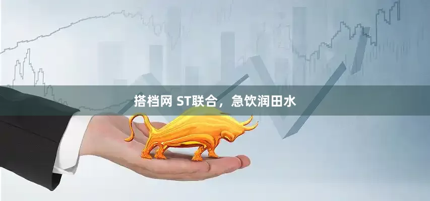 搭档网 ST联合，急饮润田水